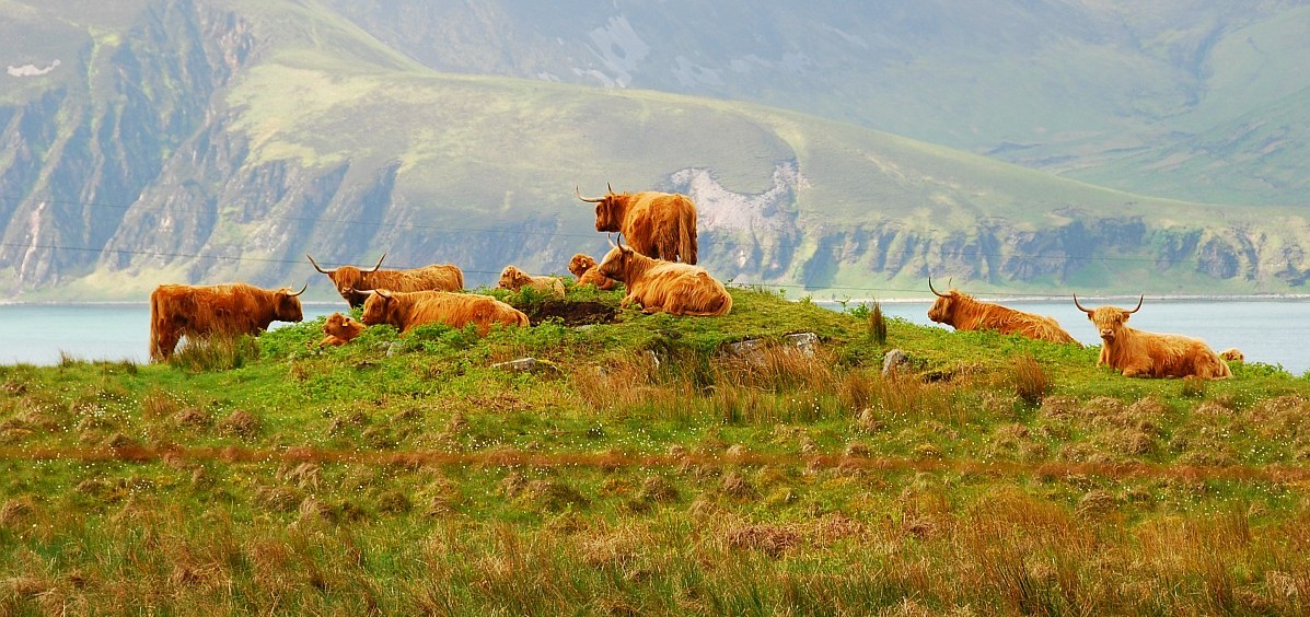 Jura