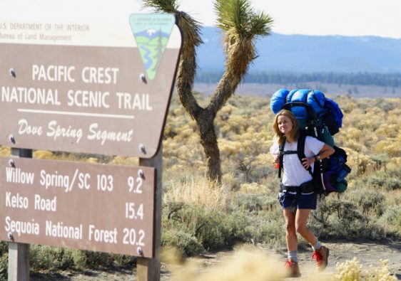 Best Travel Movies of all Time