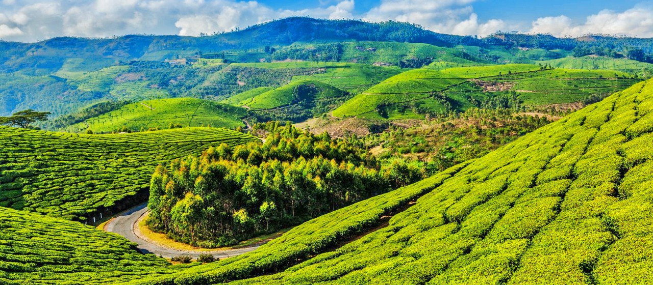 Coonoor