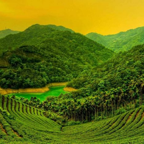 10 Best Places to Visit In Japan
