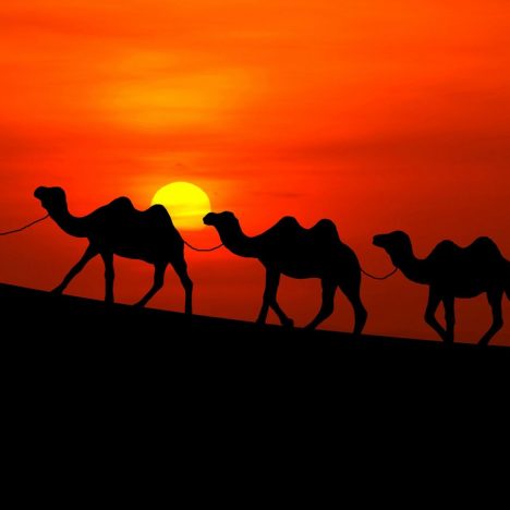 Don’t Do These 25 Things Abroad