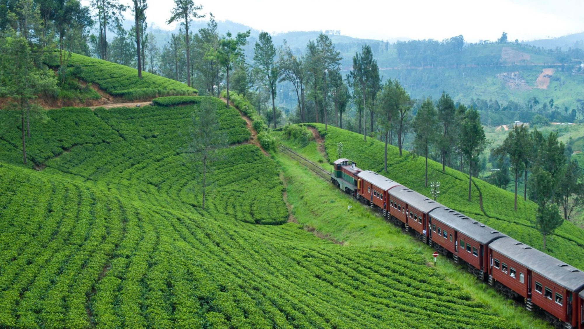 Ne Rata Mage Rata 7 Best Places To Visit In Sri Lanka | Travelholicq