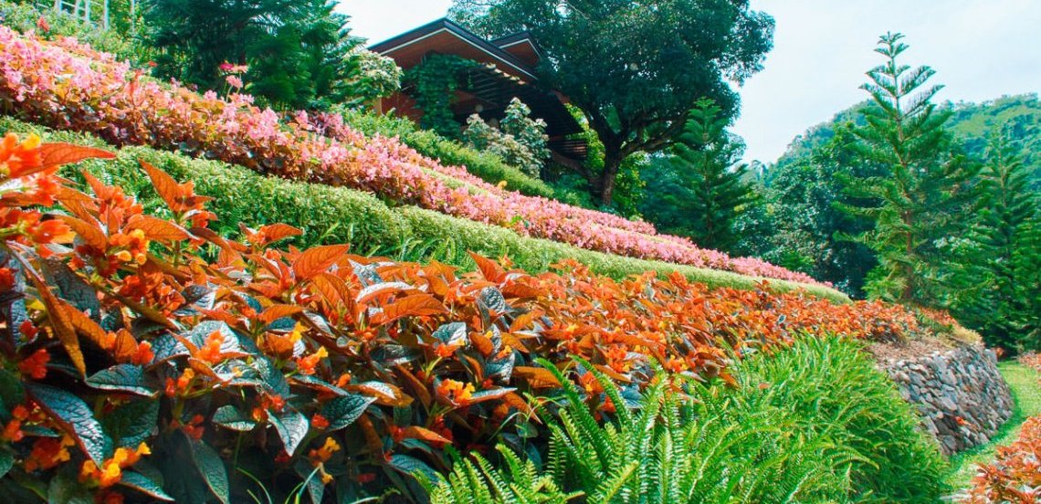 Terrazas de flores botanical garden