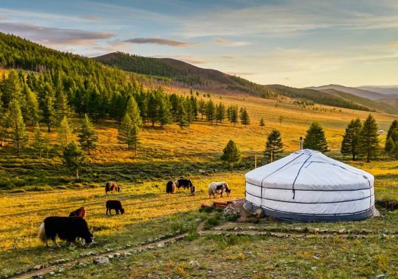 Places To Visit In Mongolia