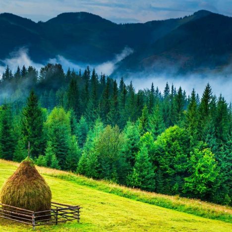8 Charming Places To Visit In Poland