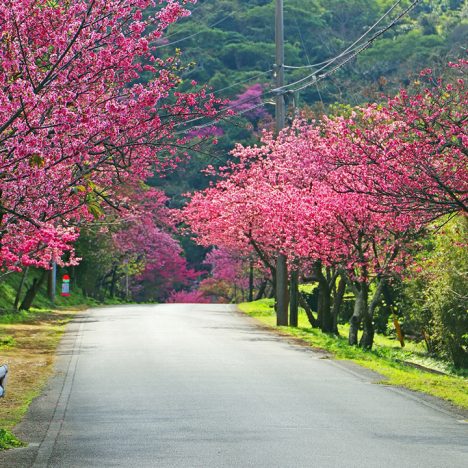 5 Stunning Places To Visit In Auckland