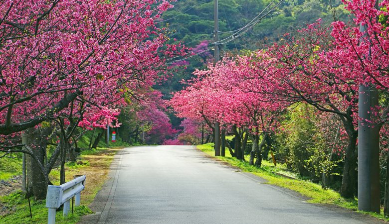 Most Colourful Natural Places In Asia