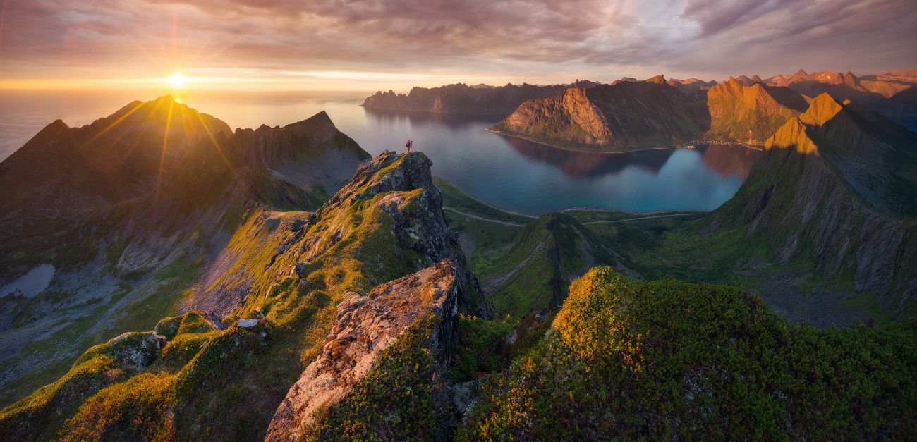 Senja
