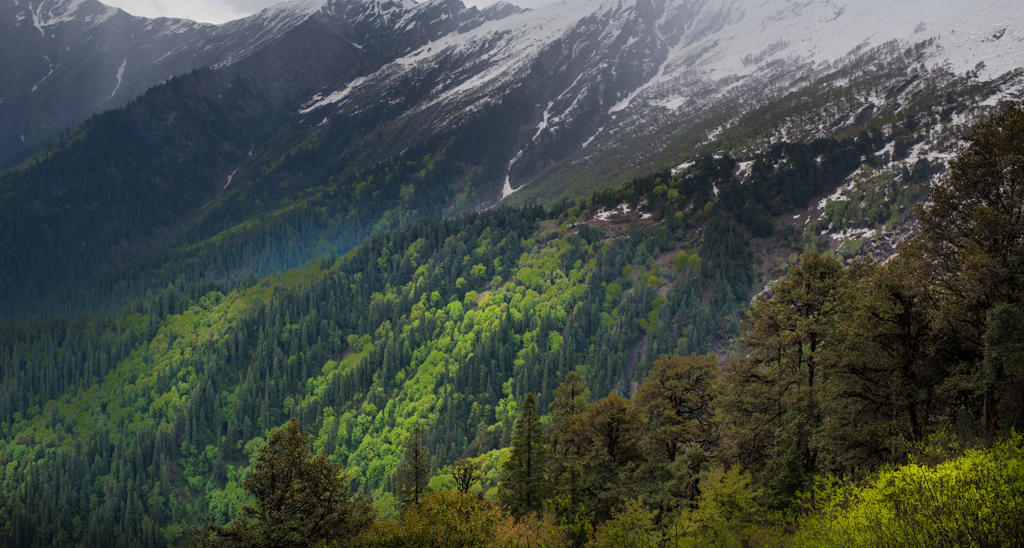 Chandrakhani Pass Trek