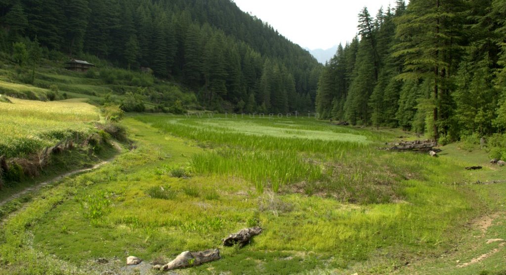 Pundrik Lake Trek 