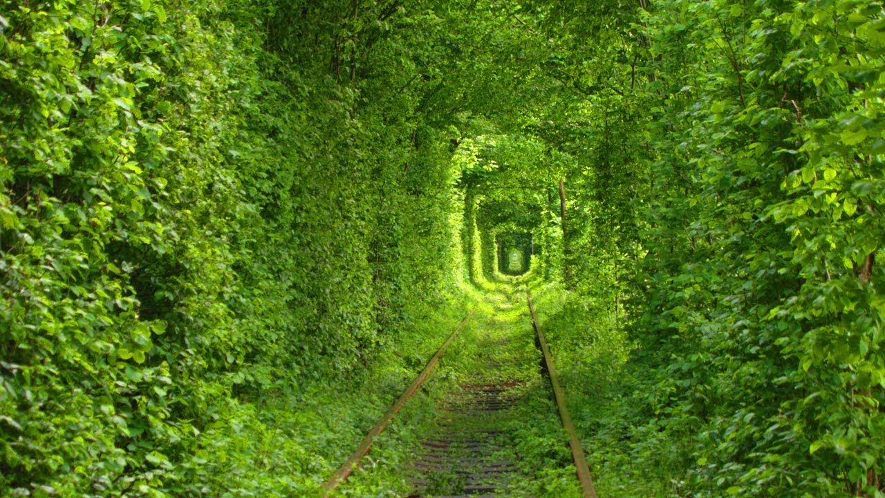 Tunnel of Love, Ukraine