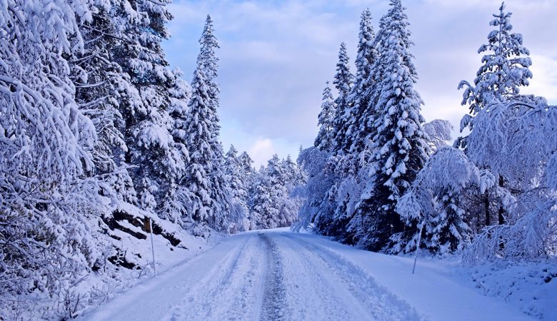 Beautiful Places In India Which Turn Into Snowy Wonderlands During Winter
