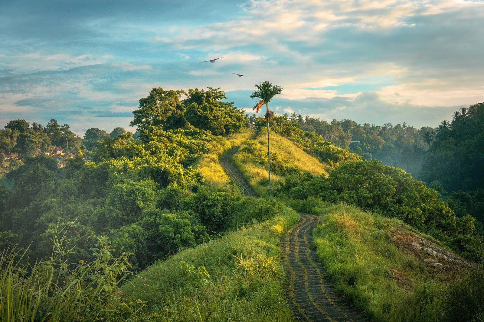 Jampui Hill