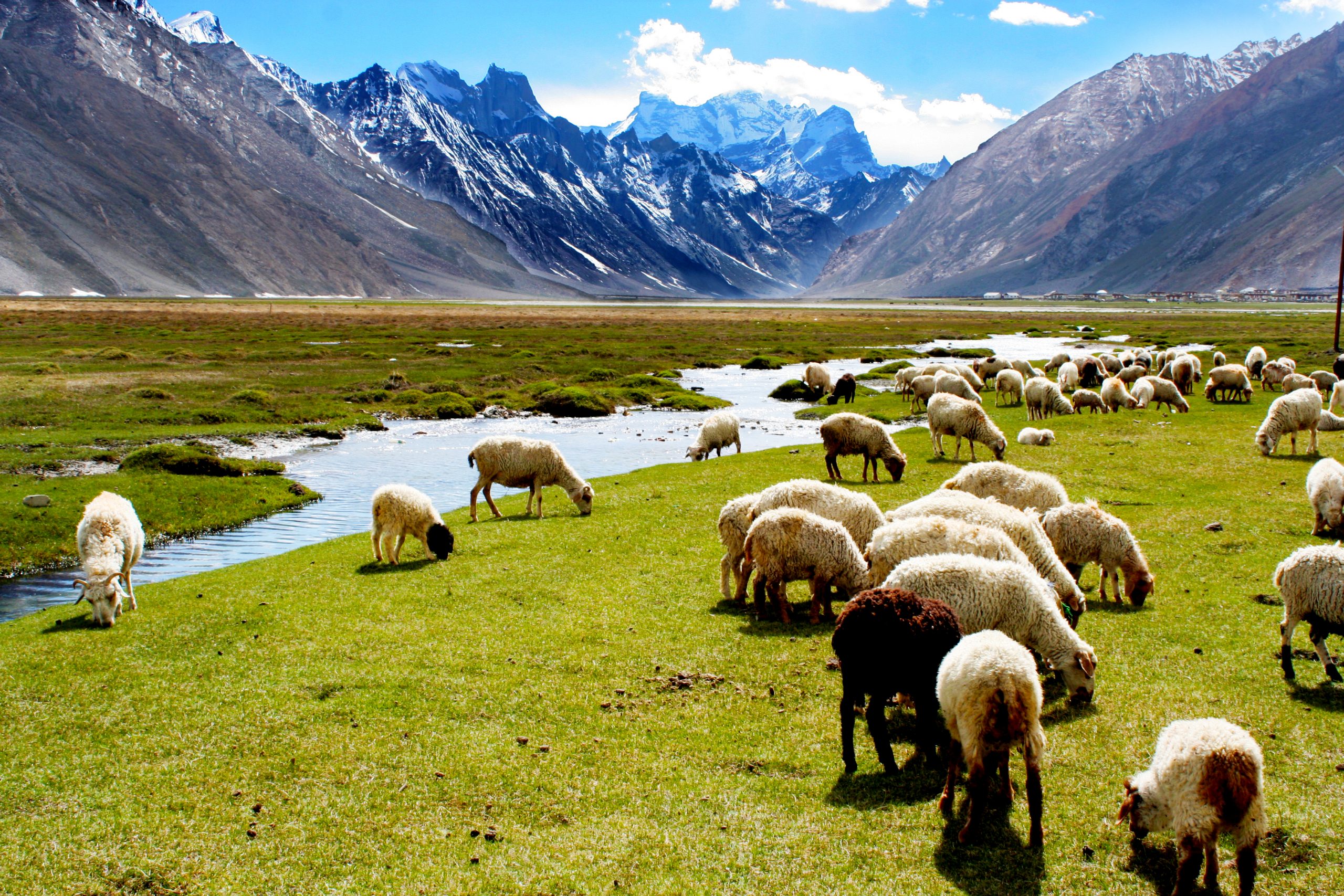 Rangdum, Ladakh