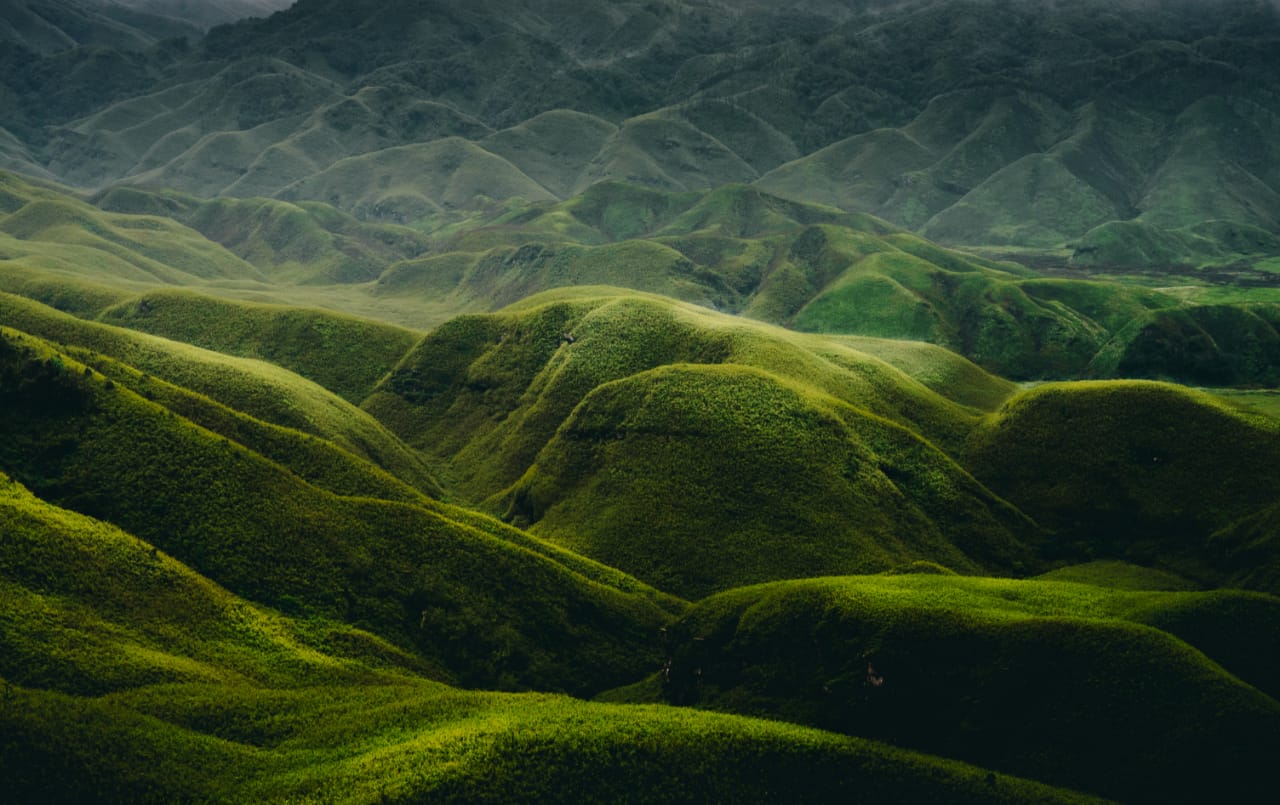 Dzukou Valley Kohima, Nagaland