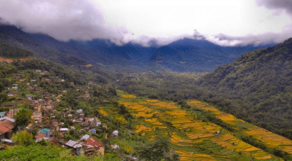 Dzuleke, Kohima