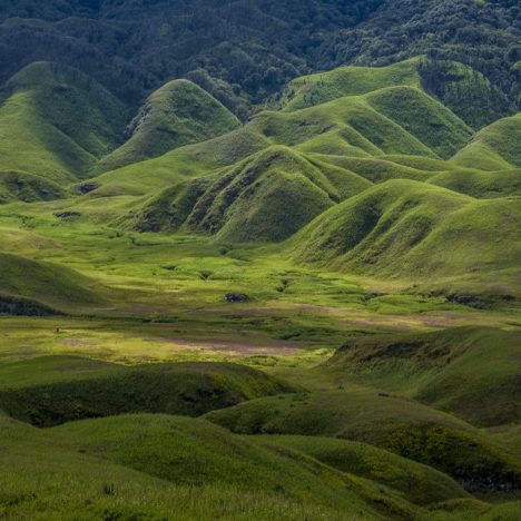 5 Amazing Places To Visit In Dimapur