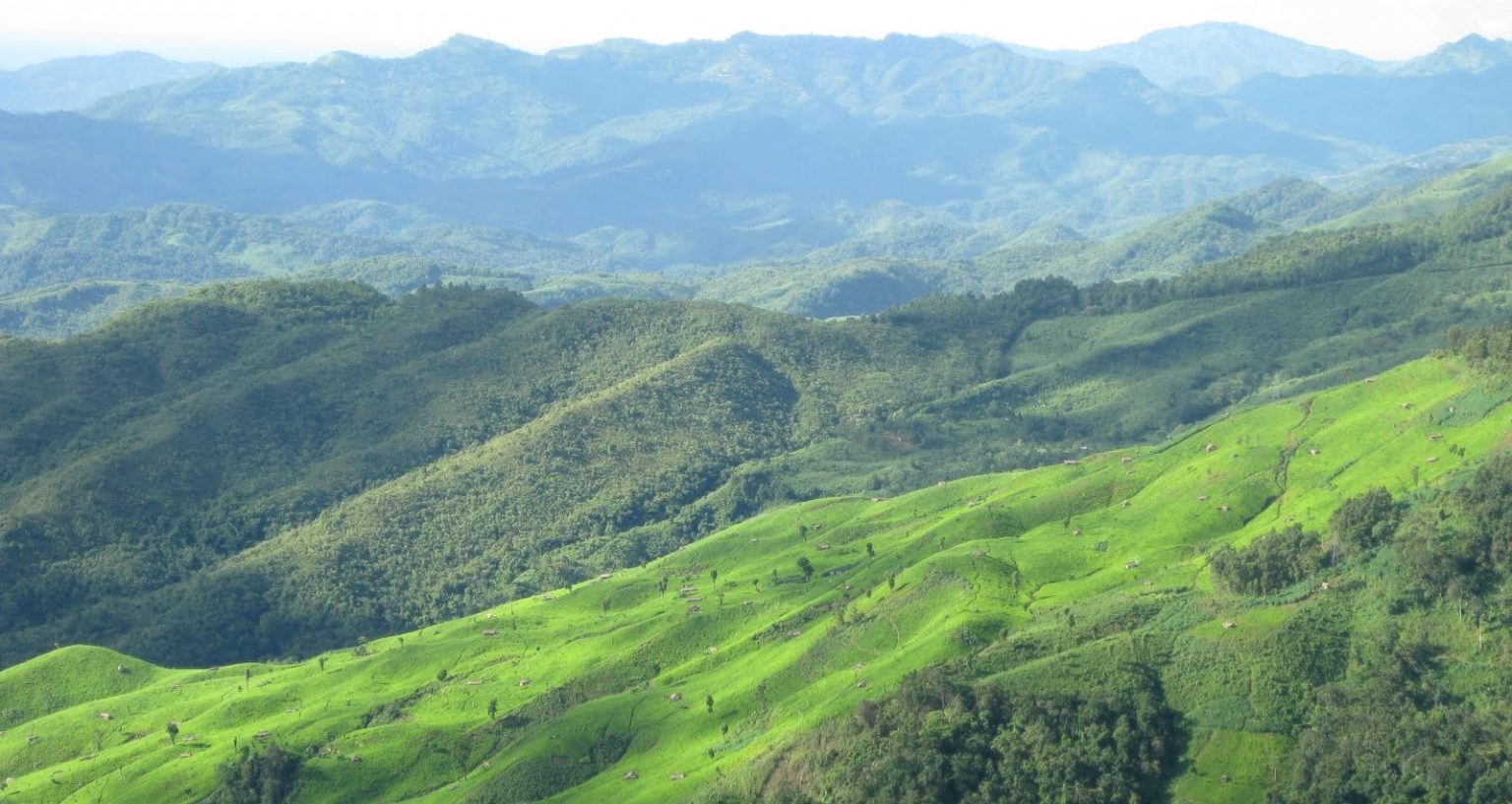 Rangapahar Reserve Forest, Dimapur