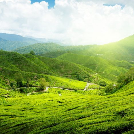 The 9 Tools That I Use to Run My Travel Blog