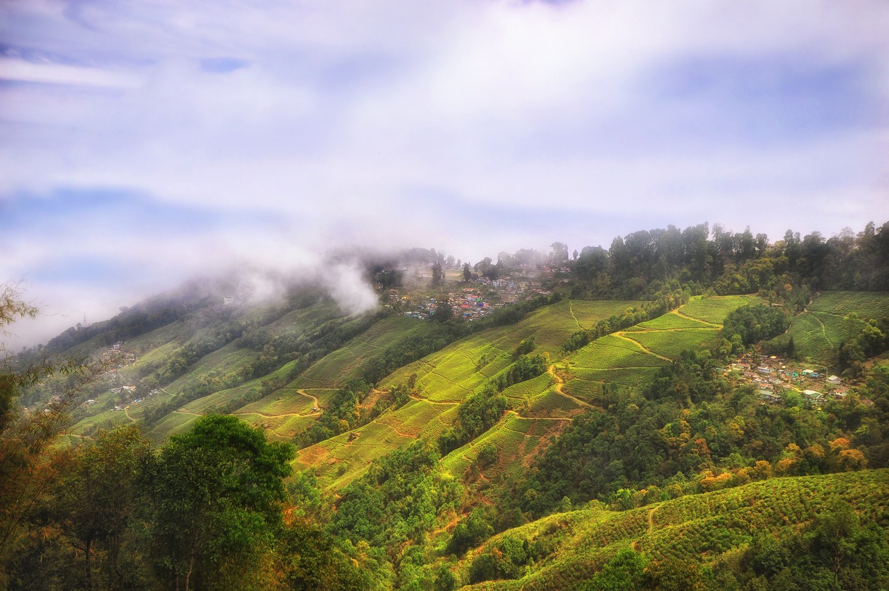 Lamahatta, Kalimpong