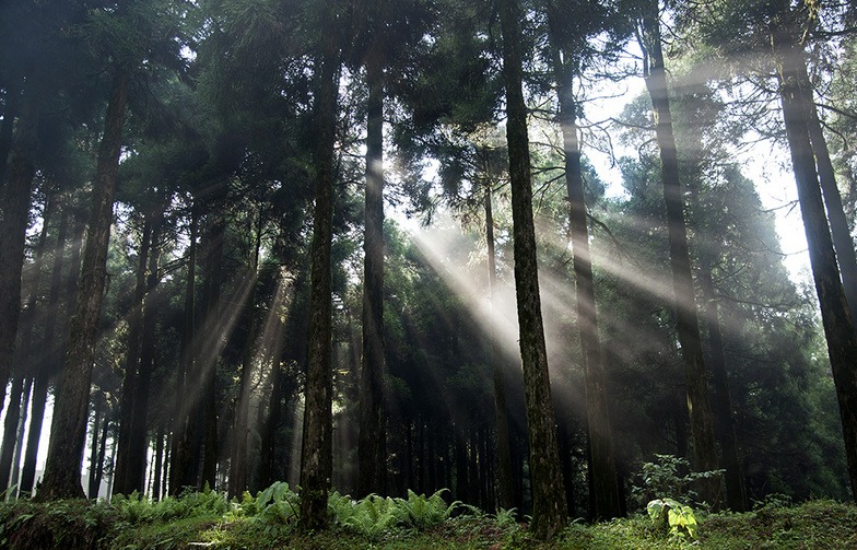 Lepchajagat, Darjeeling