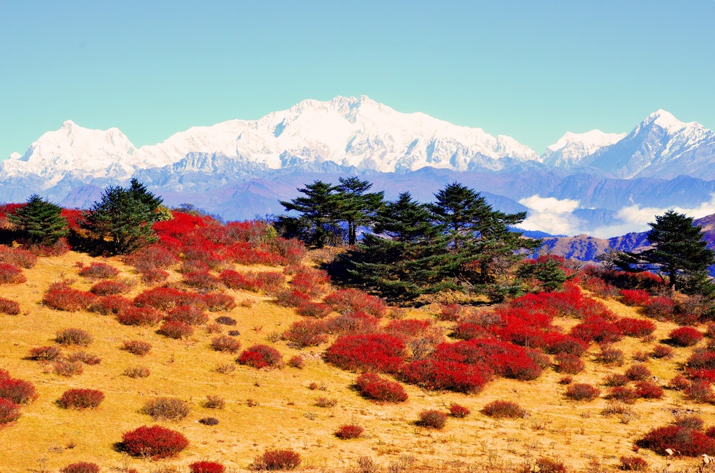 Sandakphu Peak, Darjeeling