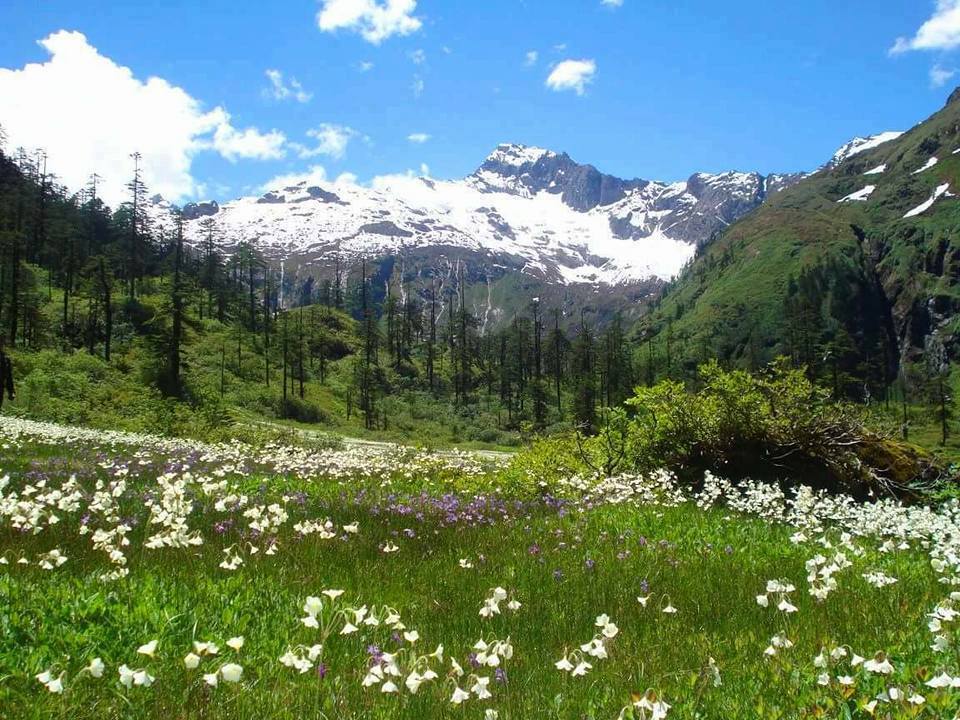 Upper Dibang Valley