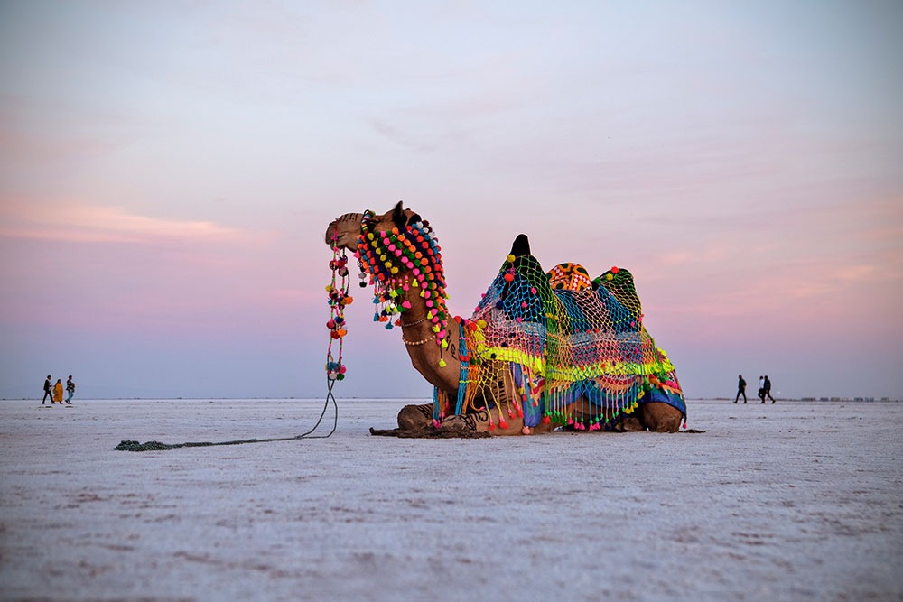 Dhanushkodi: Where Land Meets Sea